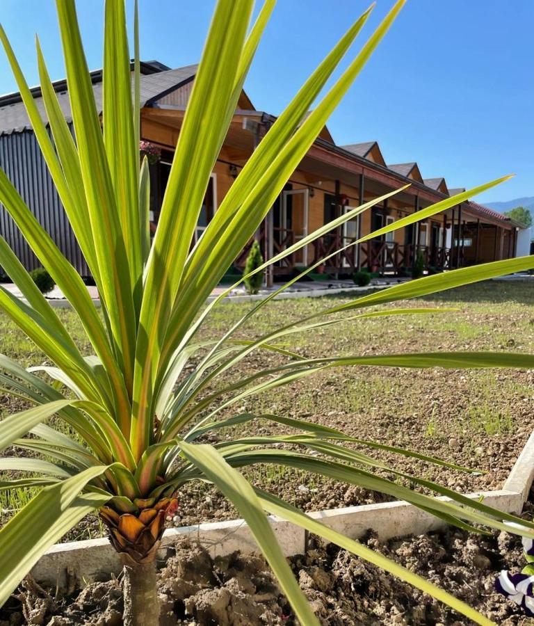 Hotel Askar #N/A Extérieur photo